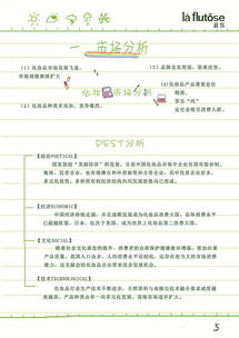 指尖麥香，繪夢于心 手繪風(fēng)格XX品牌形象升級營銷策劃案